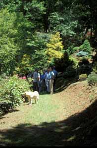 A Stroll in Paul's Garden