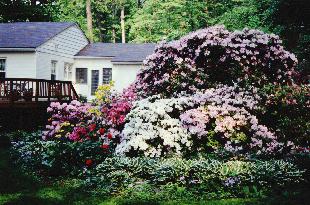 The Author's Garden